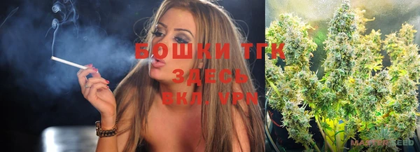 PSILOCYBIN Аркадак